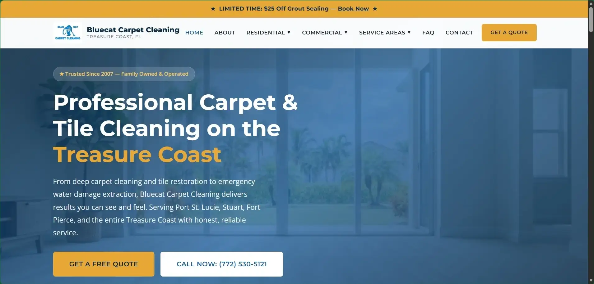 Bluecat Carpet Cleaning, Inc website design by Page One Insights