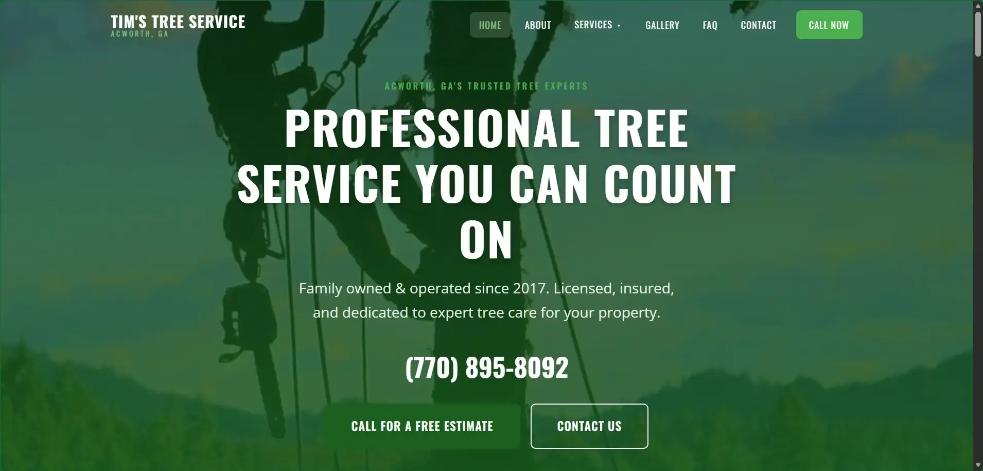 Tim's Tree Service website design by Page One Insights
